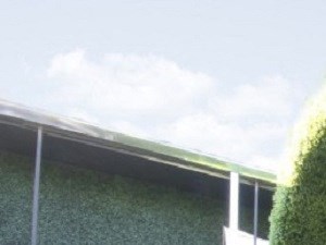 5200 Gaston - GREEN HOUSE cabana dining